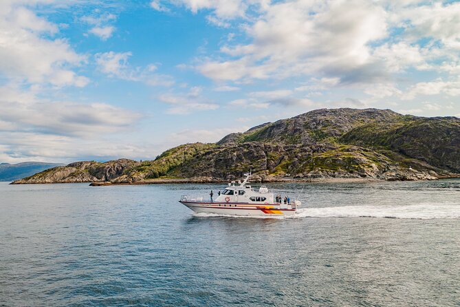 Fjord Safari in the Altafjord - Key points to know before you go