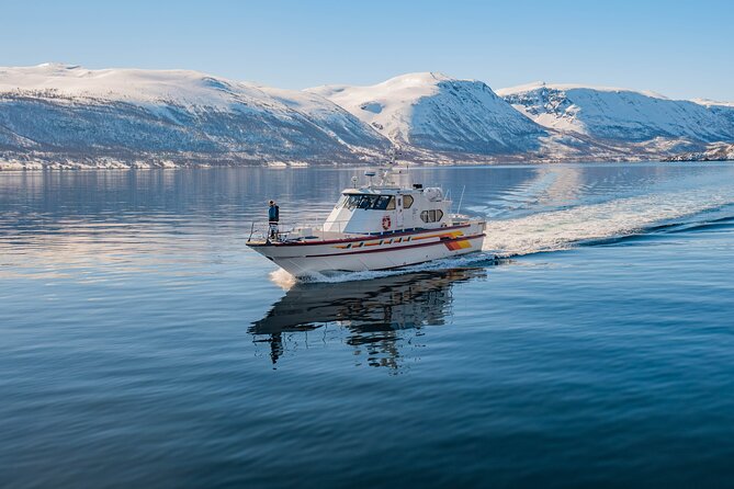 Fjord Safari in the Altafjord - Passing Isn’testoften by the fjord entrance