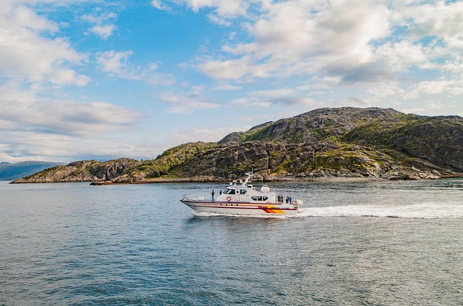 Fjord Safari in the Altafjord - Watching for birds, dolphins, and other wildlife