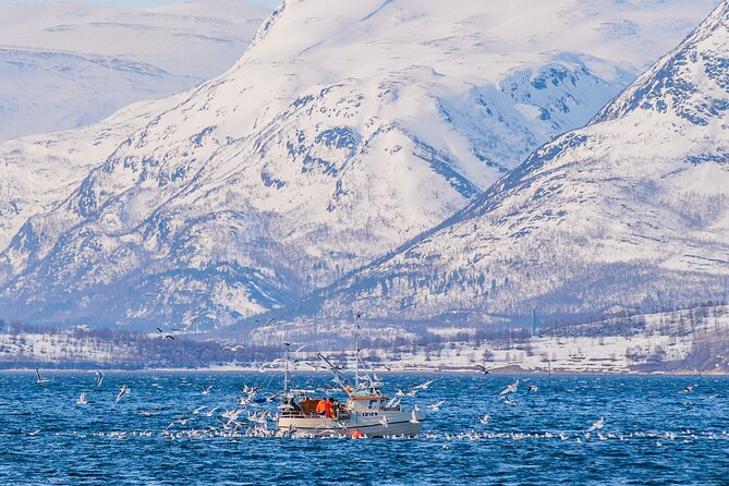 Fjord Safari in the Altafjord - Who will enjoy this boat safari