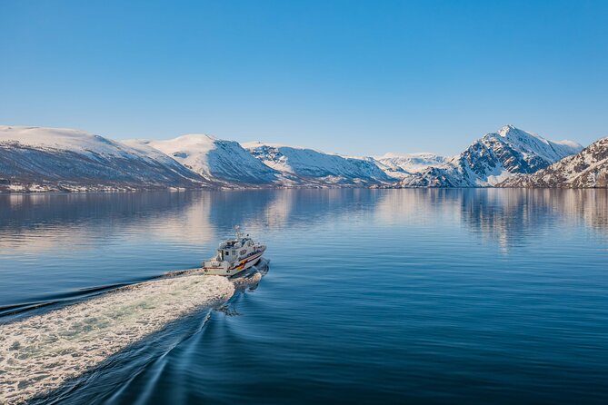 Fjord Safari in the Altafjord - Cruising toward the entrance of Langfjord