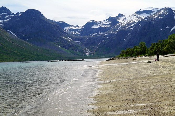 Fjord Sightseeing - Eco friendly Tesla Model X - Meeting Kurt Arild Larsen