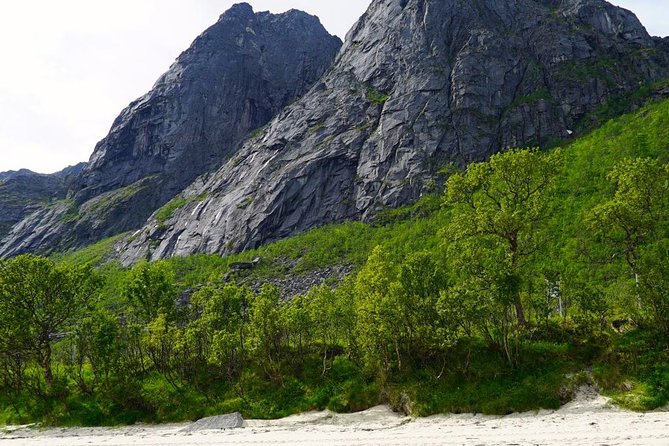 Fjord Sightseeing - Eco friendly Tesla Model X - The café pause with coffee and cake