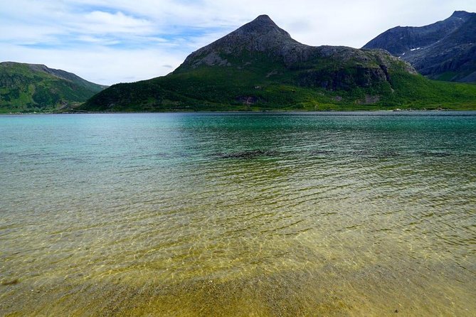 Fjord Sightseeing - Eco friendly Tesla Model X - Is $171.16 per person good value?