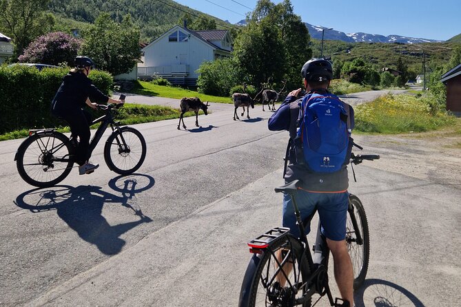 Fjord Sightseeing on Kvaløya With E-Bike - Who should book this Kvaløya outing?