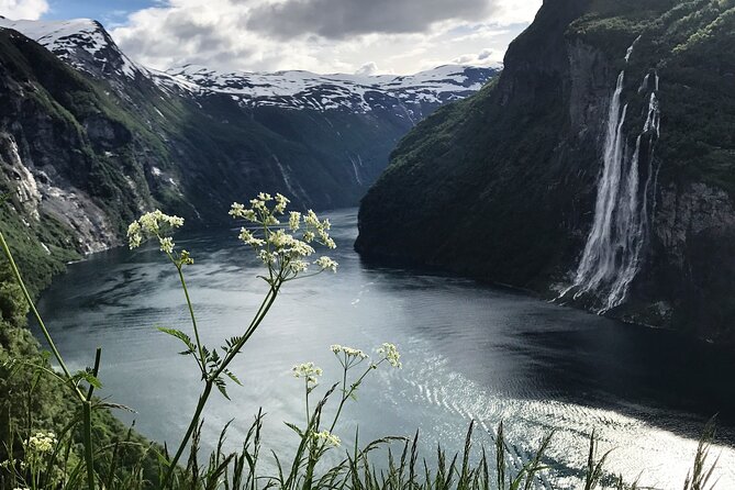 Fjordcruise Ålesund Geirangerfjord T/R - Is $266.15 a fair price?