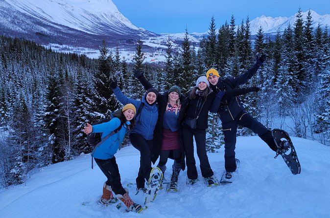Fjords and Alps Snowshoe Tour in Lyngen Alps - Group size, language, and meeting point