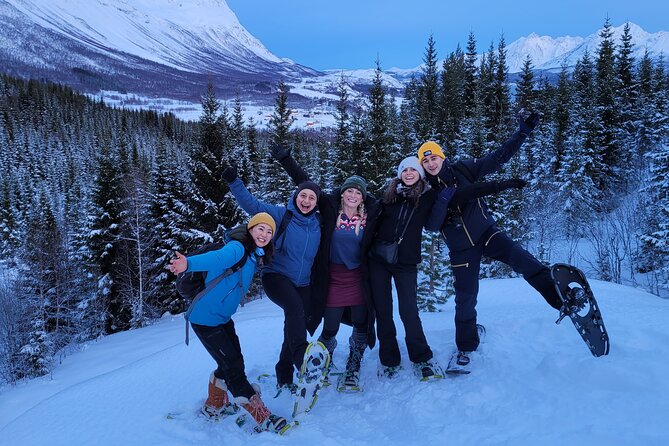 Fjords and Alps Snowshoe Tour in Lyngen Alps - Weather, cancellations, and the right kind of flexibility