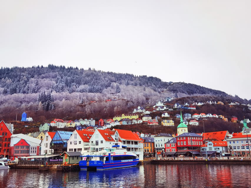 Flåm Flexible Tour with Stegastein, cruise and train include - Key points at a glance