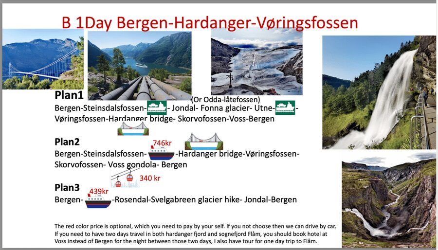 Flåm Flexible Tour with Stegastein, cruise and train include - Guide style and communication