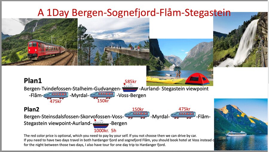 Flåm Flexible Tour with Stegastein, cruise and train include - Gudvangen and the Nærøyfjord cruise
