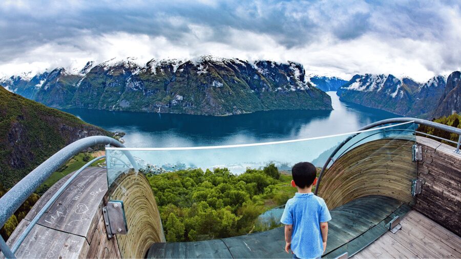 Flåm Flexible Tour with Stegastein, cruise and train include - What the private price includes