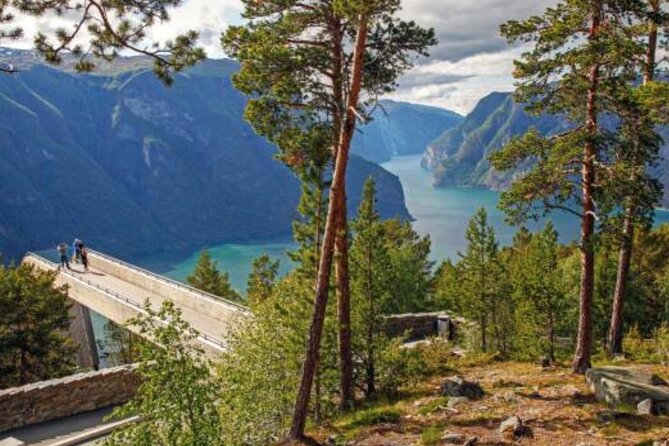 Flam: The Spectacular Stegastein Viewpoint Tour (Small Group) - Who should book this tour