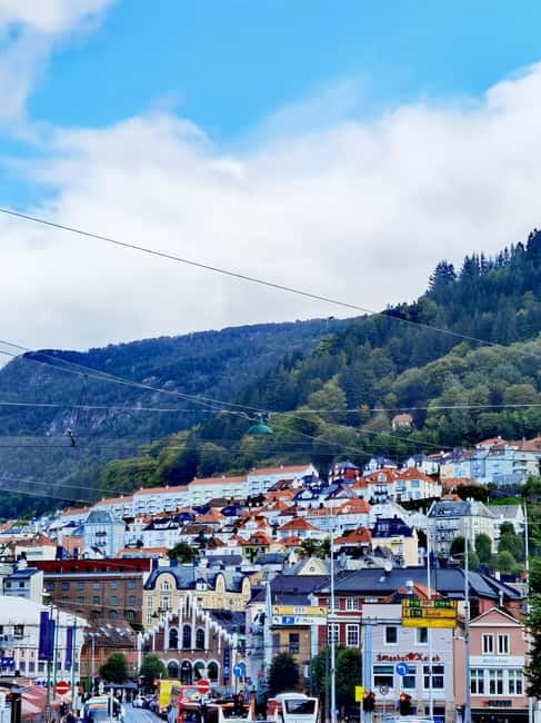 Flexible tour to Hardangerfjord vøringsfossen cruise include - Who will get the most from this tour