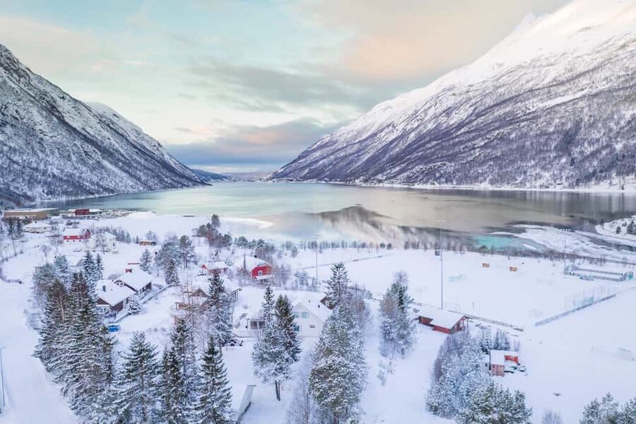 From Abisko: Narvik City and Fjord Day Trip - From Abisko’s inland wilderness to Norway’s fjords