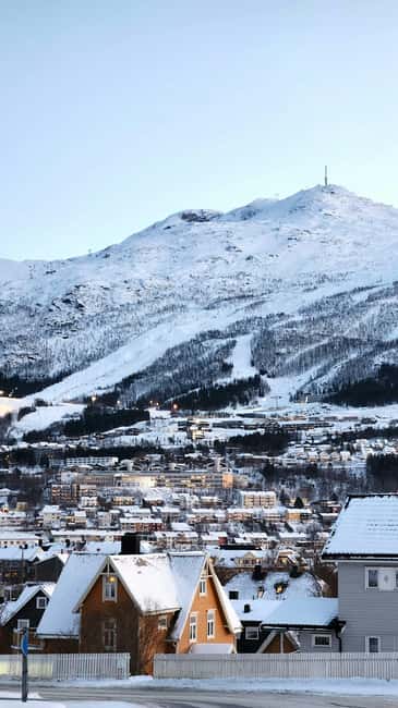 From Abisko: Narvik City and Fjord Day Trip - Crossing into Norway and watching the scenery change