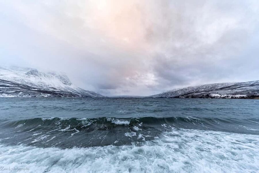 From Abisko: Narvik City and Fjord Day Trip - A flexible lunch stop in Narvik