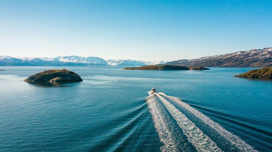 From Alta: Adventure Cruise in Alta Fjord - Key points to know before you book