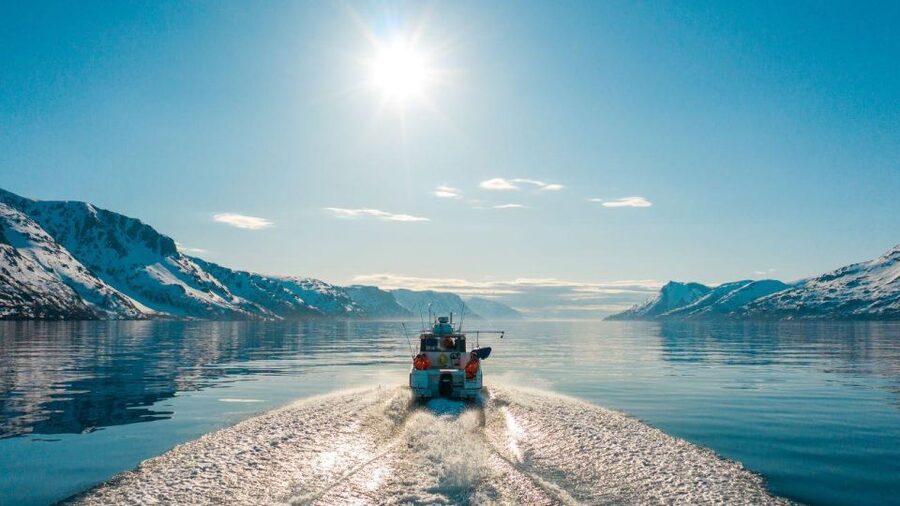 From Alta: Adventure Cruise in Alta Fjord - Wildlife watching without false promises