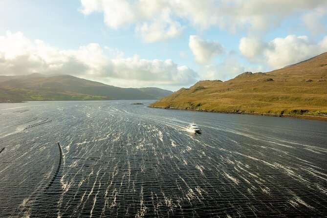 From Dublin: Kylemore Abbey, Connemara, Killary Fjord & Galway - Which guide can shape the day
