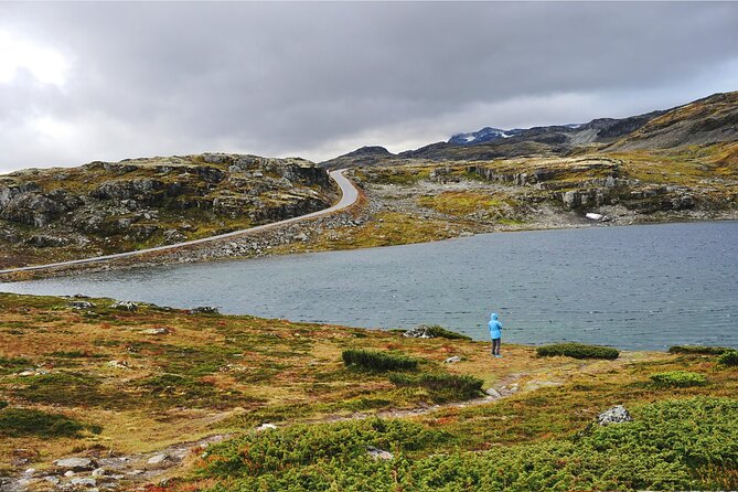 From Flåm, Guided Tour: Stegastein, Borgund Stave Church & More - Up the Aurlandsfjellet Snow Road