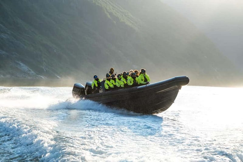 From Hellesylt: Experience Fjordsafari Geirangerfjord on RIB - The Best Way to Meet Geirangerfjord Up Close