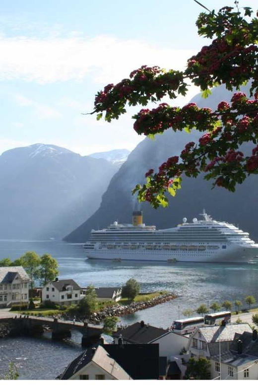 From Hellesylt: The Best of Geiranger Shore Excursion - Stryn Gives the Day a Practical Pause