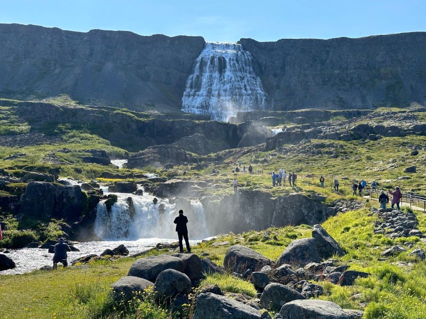 From Isafjordur: Dynjandi Waterfall Guided Day Trip by Bus - How the $82 price holds up