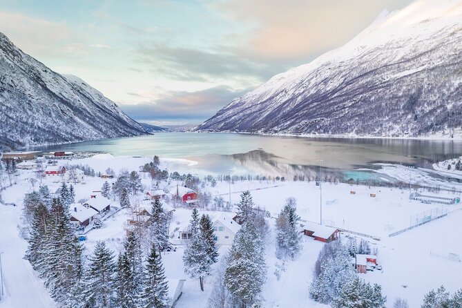 From Kiruna: Narvik City and Fjord Day Trip - The road from Kiruna to Norway