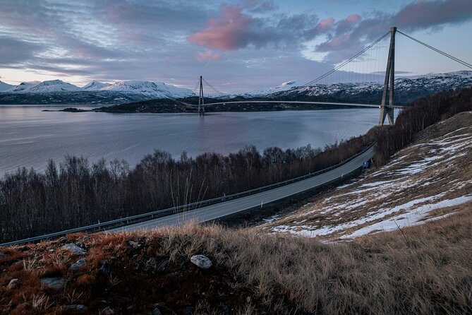 From Kiruna: Narvik City and Fjord Day Trip - Arriving in Narvik and seeing the fjord