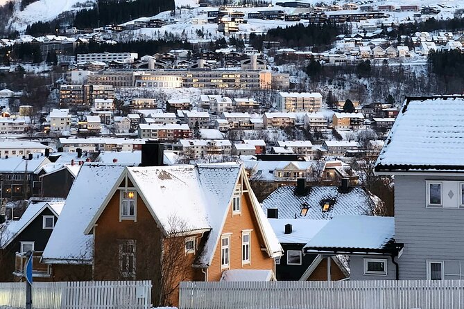 From Kiruna: Narvik City and Fjord Day Trip - Lunch and time in the city