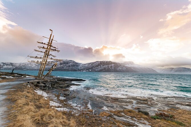 From Kiruna: Narvik City and Fjord Day Trip - What the guides add to the day