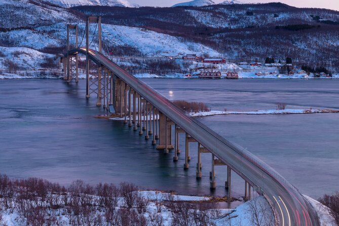 From Kiruna: Narvik City and Fjord Day Trip - Is $245 a fair price?