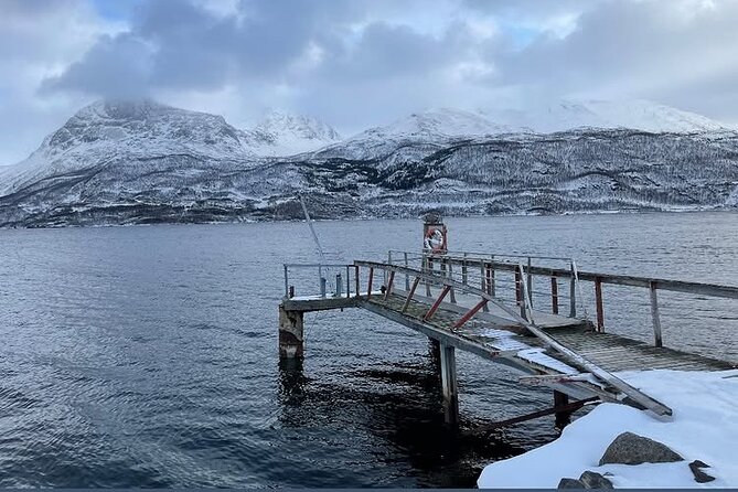 From Kiruna: Narvik City and Fjord Day Trip - Who should book this day trip?