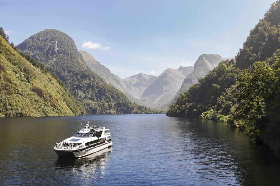 From Manapouri: Doubtful Sound Wilderness Day Trip - Is the $208 Price Good Value?
