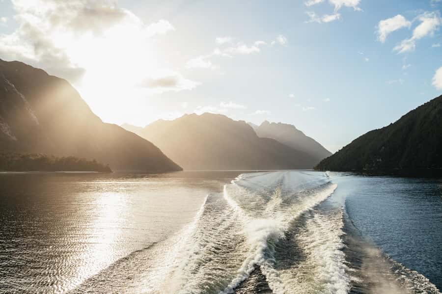 From Manapouri: Doubtful Sound Wilderness Day Trip - Who Will Enjoy This Day Trip?