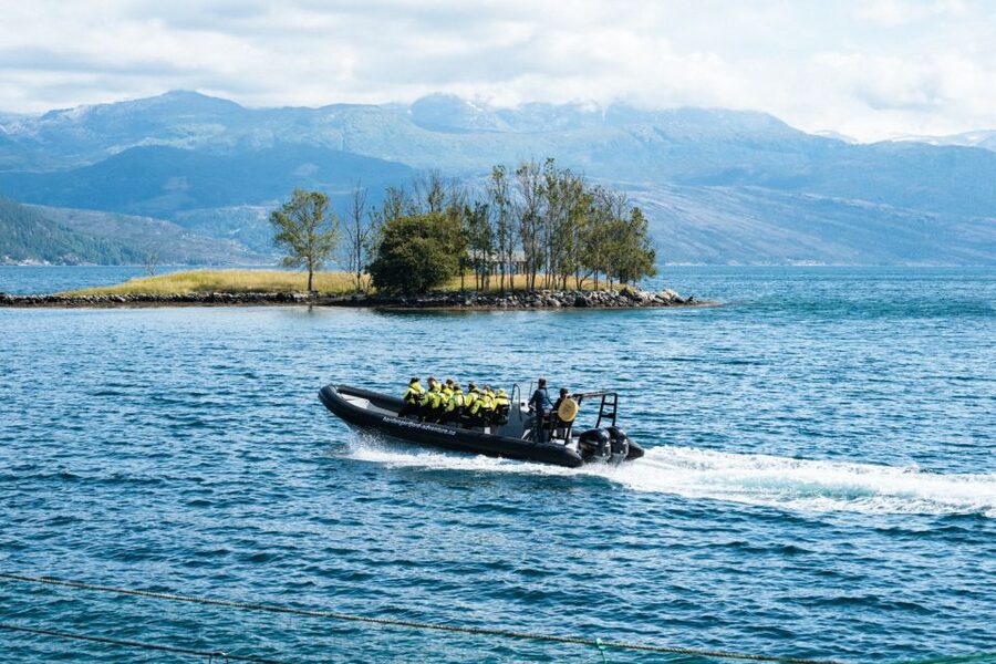 From Norheimsund: Hardangerfjord & Fyksesund RIB Fjord Tour - A fast boat with a careful pace
