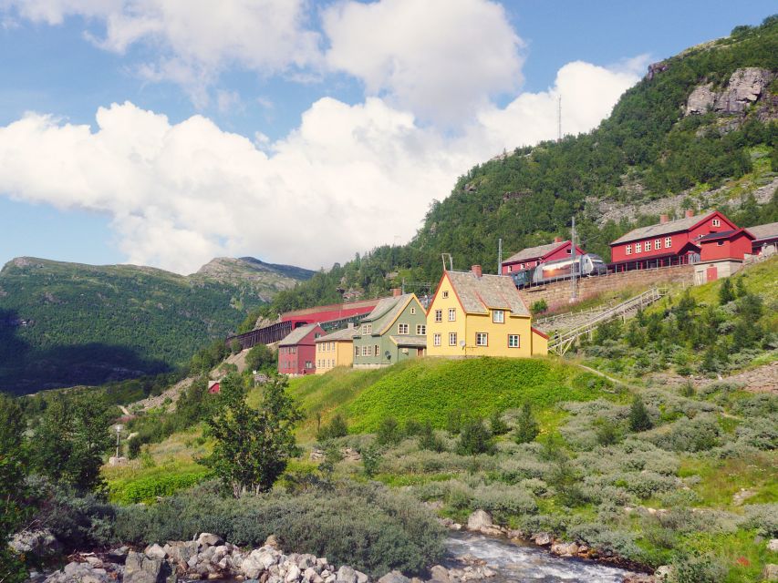 From Oslo: Private Round-Trip Tour to Sognefjord via Flåm - Key points to know before booking