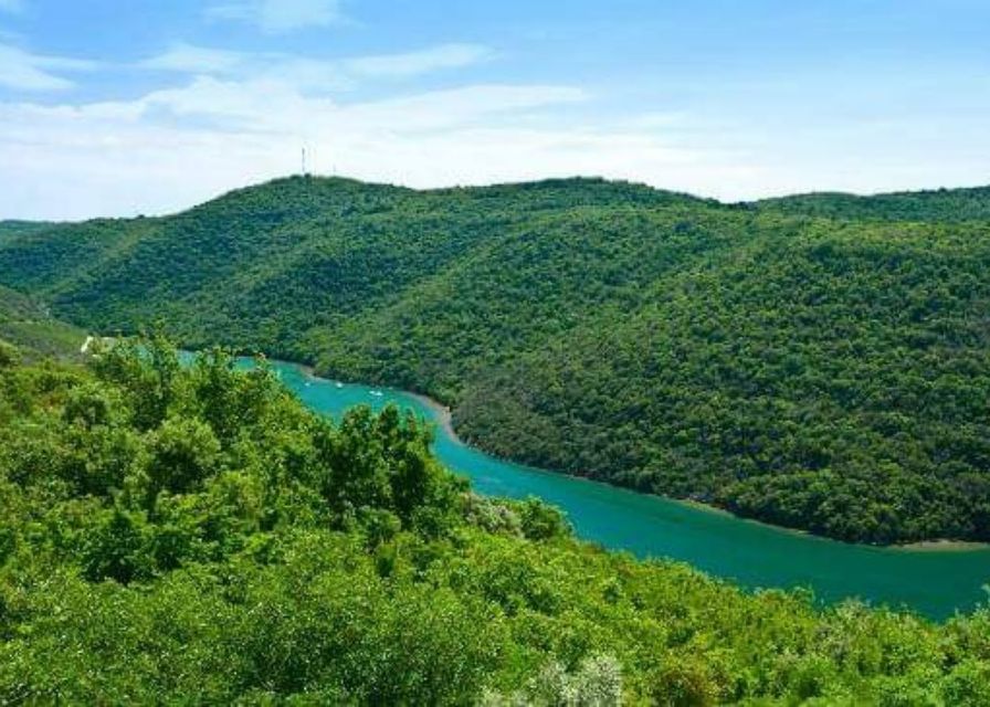 From Poreč: Lim Fjord, Rovinj, and Vrsar Boat Trip - Is the $47 price good value?