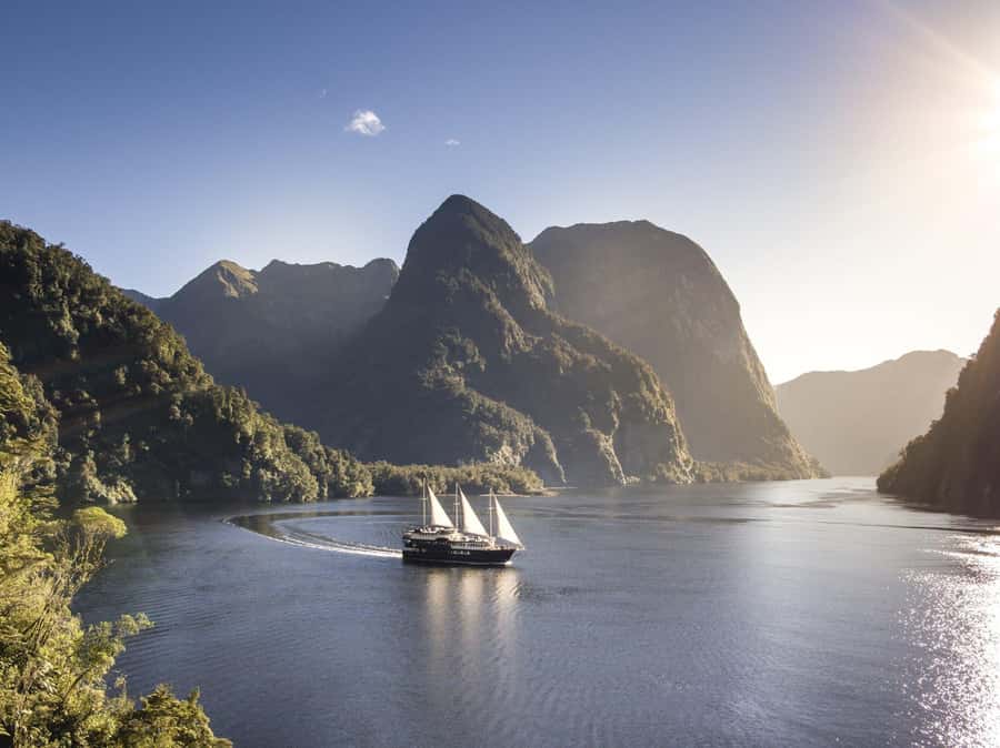 From Queenstown: Doubtful Sound Wilderness Day Trip - Key points to know before you go
