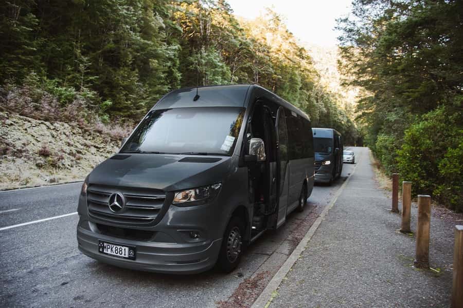From Queenstown: Milford Sound Business Class with Cruise - Pickup, timing, and what to bring
