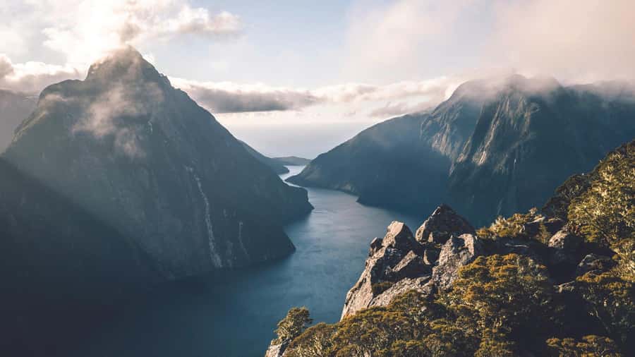 From Queenstown: Milford Sound Business Class with Cruise - Who should choose this Milford Sound trip?