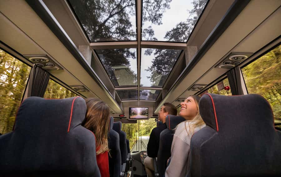 From Queenstown: Milford Sound Coach, Cruise, Scenic Flight - Key points to know before booking