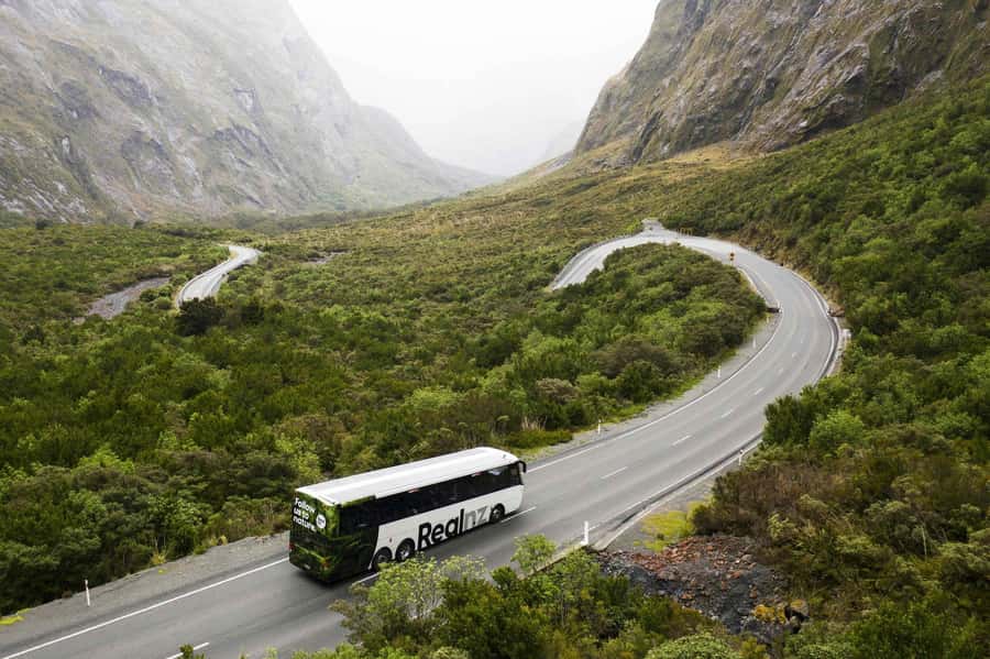 From Queenstown: Milford Sound Cruise and Coach Day Tour - Te Anau gives you a useful pause