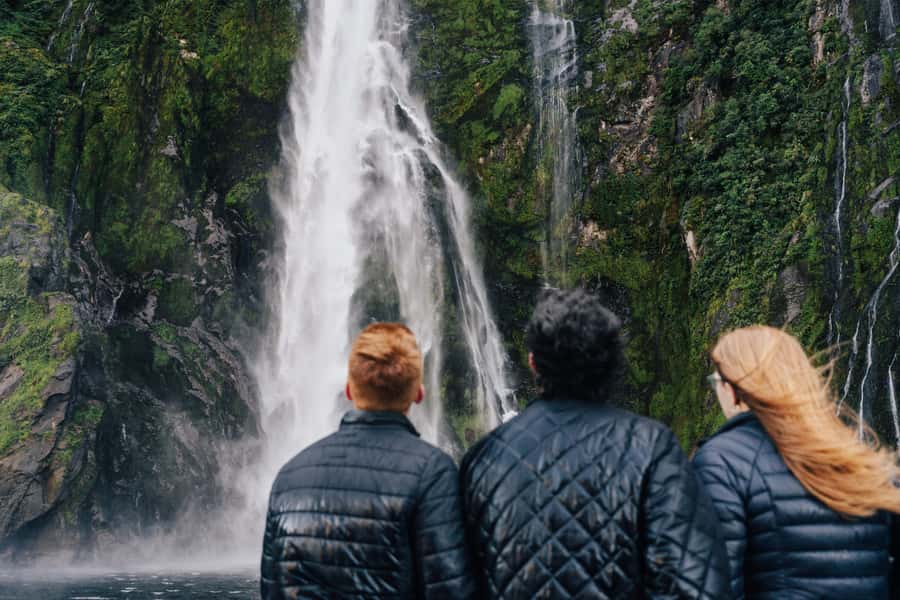 From Queenstown: Milford Sound Cruise and Scenic Drive - Why the Milford Road matters as much as the fjord