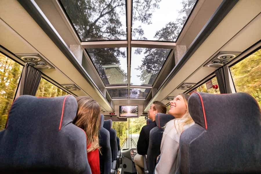 From Queenstown: Milford Sound Day Trip on Premium Coach - Key points before you book