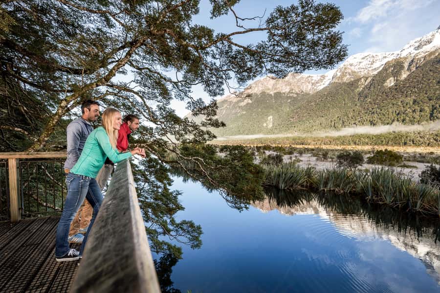 From Queenstown: Milford Sound Day Trip on Premium Coach - Eglinton Valley and the Milford Road