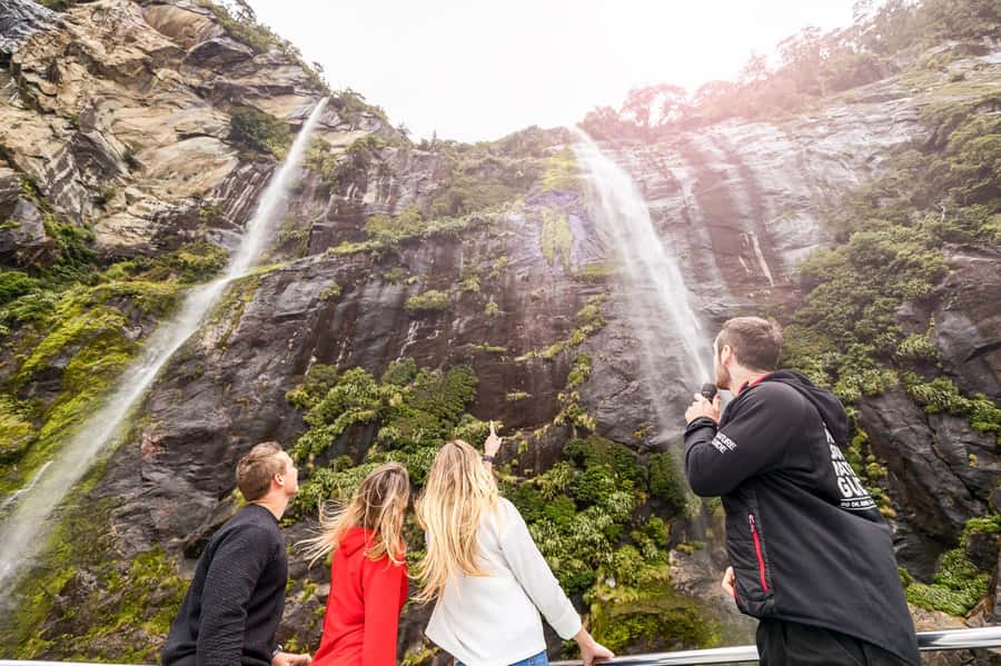 From Queenstown: Milford Sound Day Trip on Premium Coach - Is $170 good value?