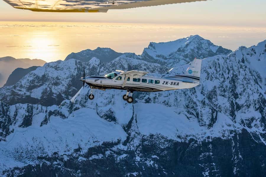 From Queenstown: Milford Sound Flight and Cruise with Lunch - Wildlife, lunch, and what you may see