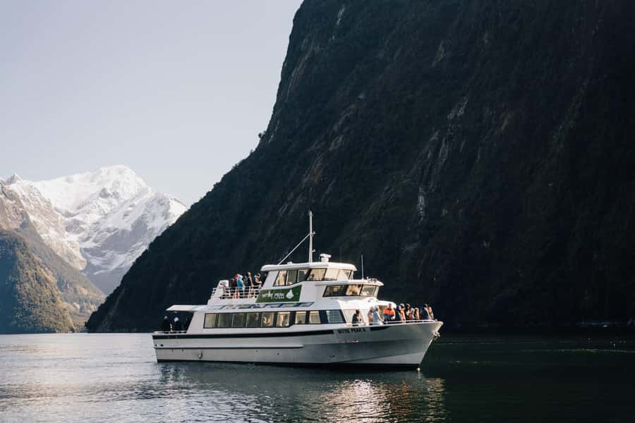 From Queenstown: Milford Sound Full-Day Trip by Plane & Boat - Wildlife sightings depend on luck